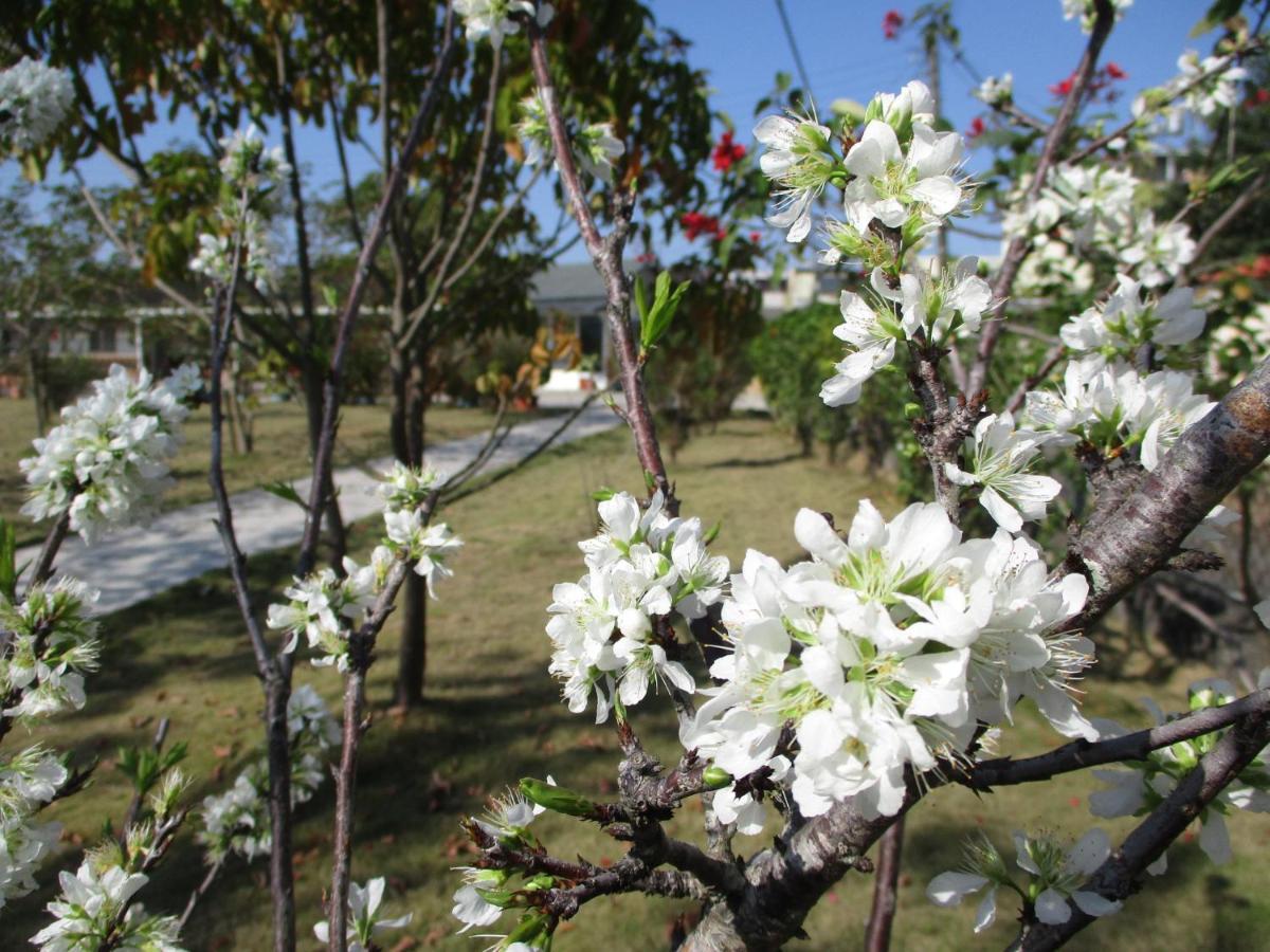 白河Joel's Garden 悠爾庭園古厝民宿住宿加早餐旅馆 外观 照片